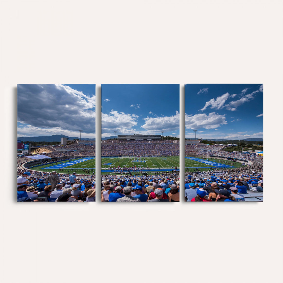 Air Force Falcons Football Team Print, Colorado Springs