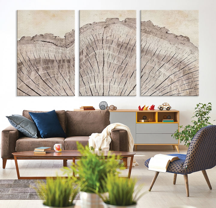 Impression sur toile Art mural anneaux d'arbre en bois illustrations abstraites Art Boho