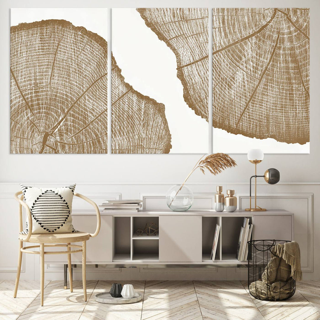 The rustic wall art features two large tree rings, beautifully framed and displayed to create a nature-inspired décor.