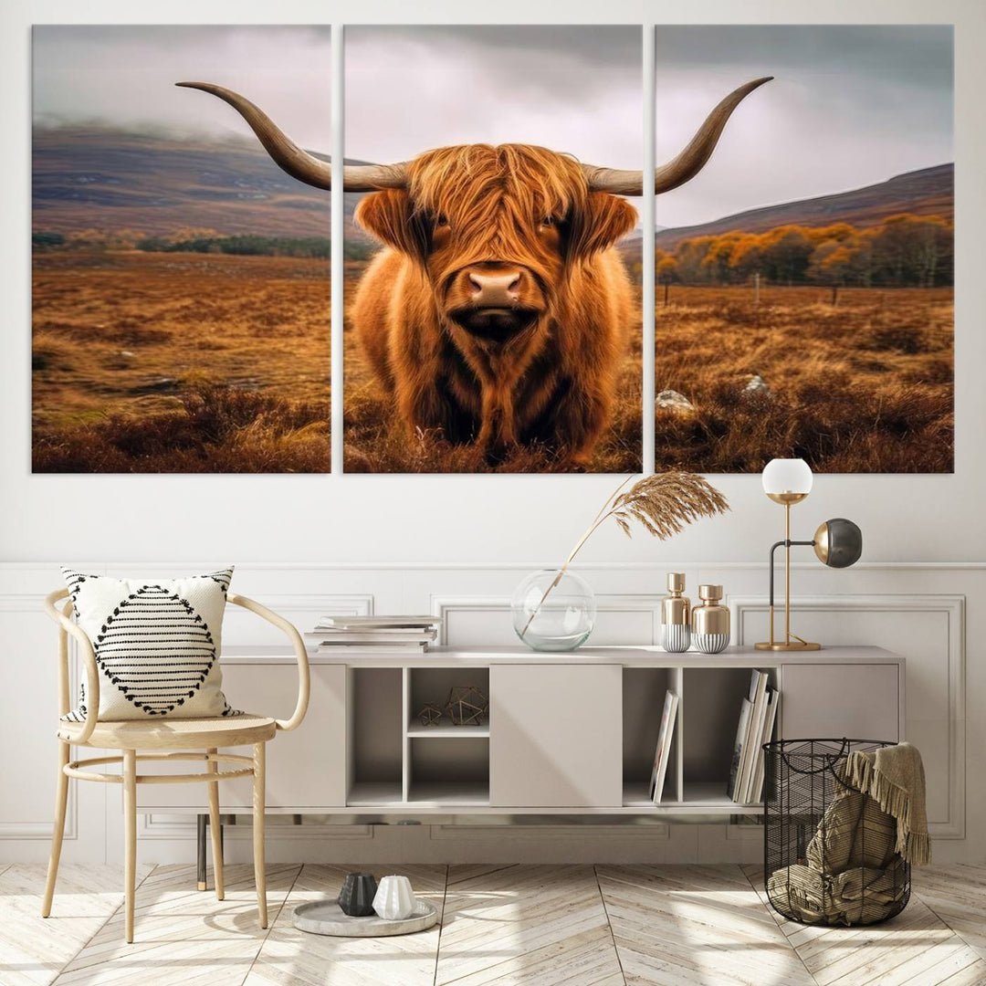 Highland Cow Longhorn Canvas Print, framed, on a wooden wall.