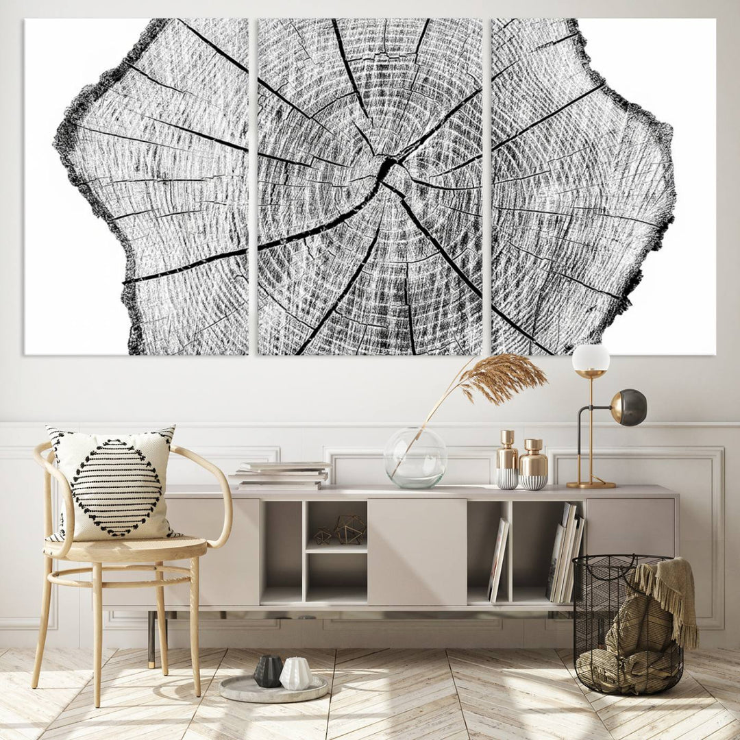 Black and white tree ring art print.