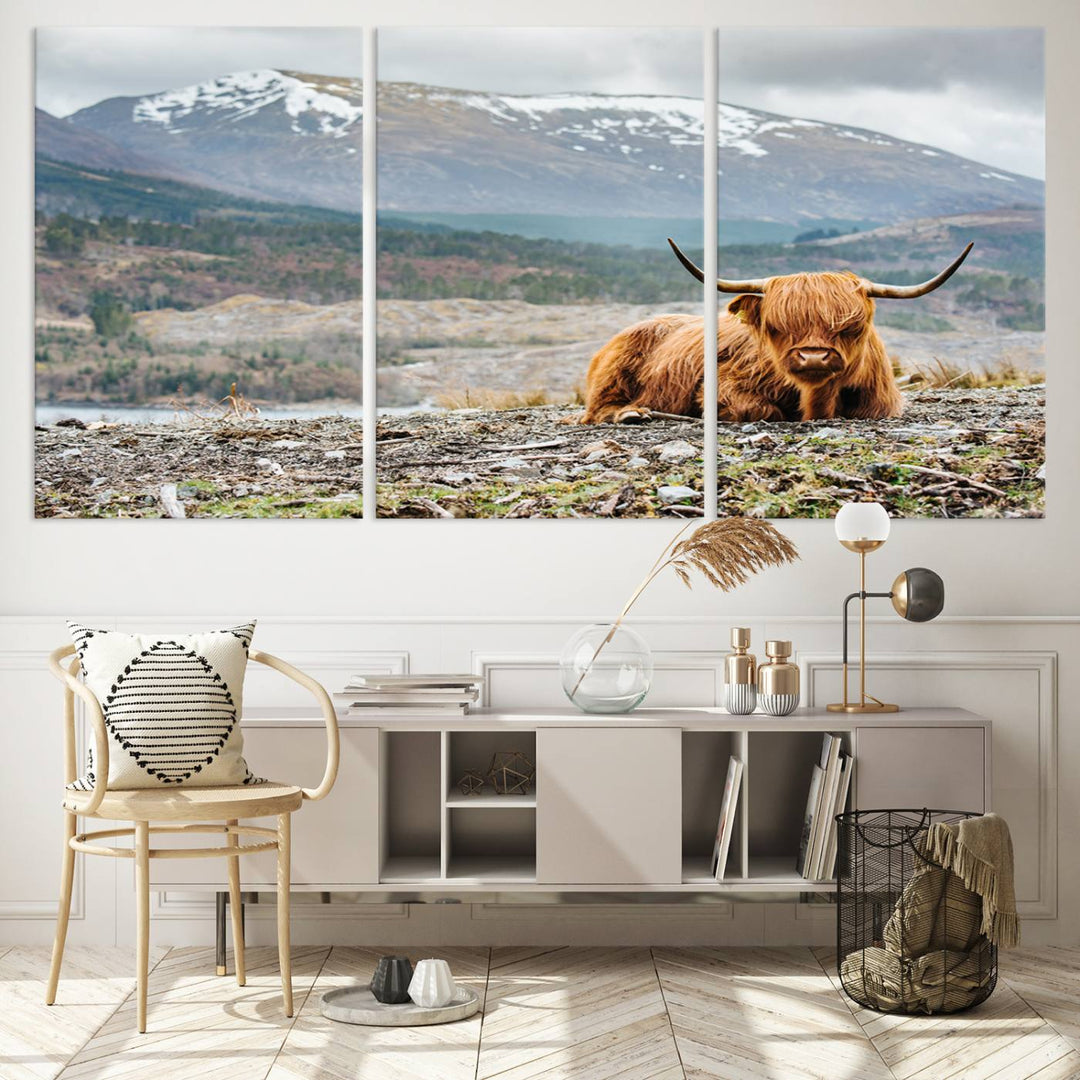 Highland Cow Horn Farm Wall Art Canvas Print is displayed against a wooden wall featuring a mountainous backdrop.