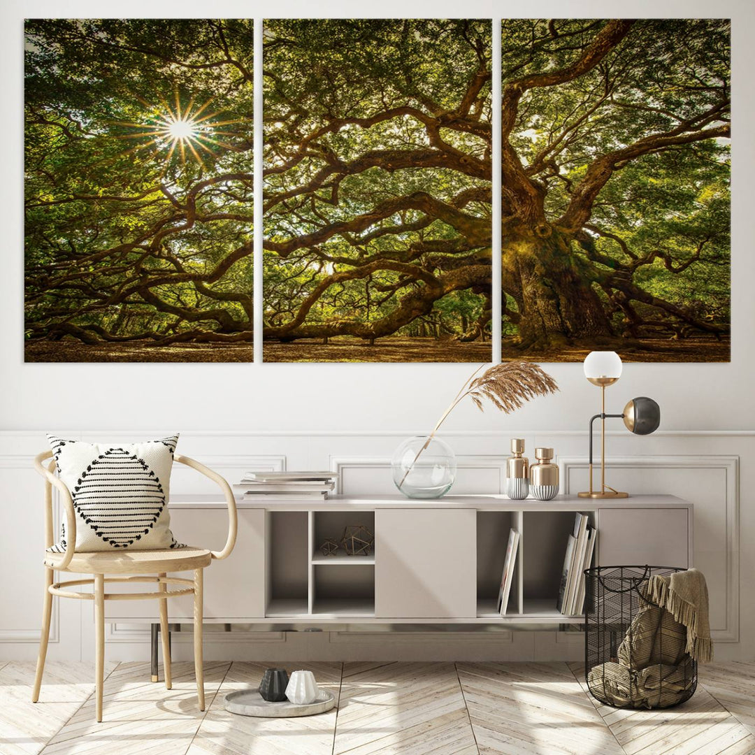 The Ancient Angel Oak Tree Art Sunburst Canvas Print, a framed triptych, serves as wall art.