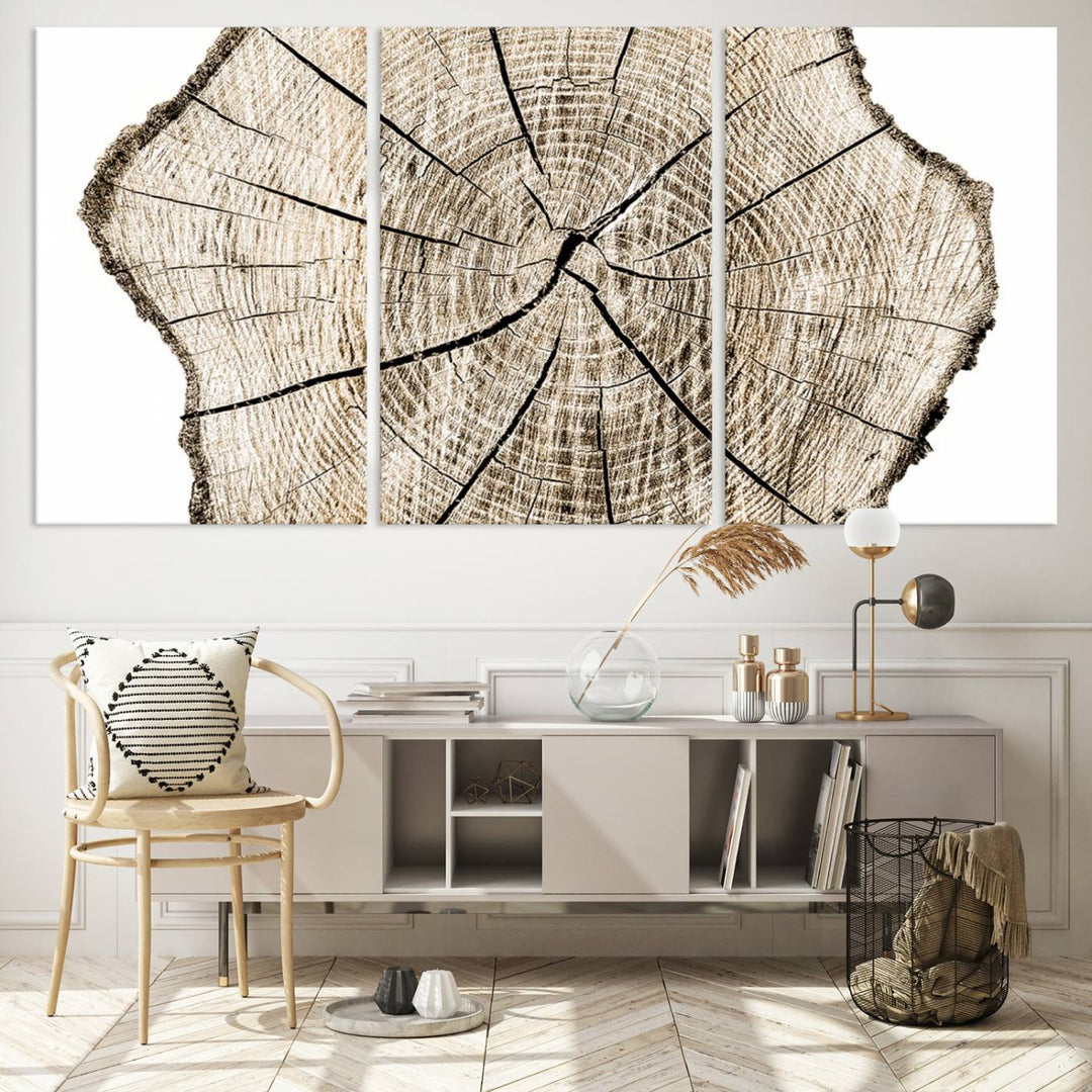 The Abstract Wood Tree Ring Wall Art set of 3 adds a minimalist touch to the space.