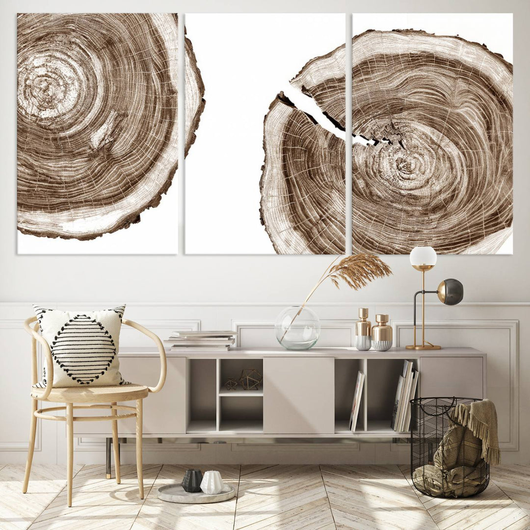 Wood Tree Ring Wall Art on a minimalist black and white canvas.