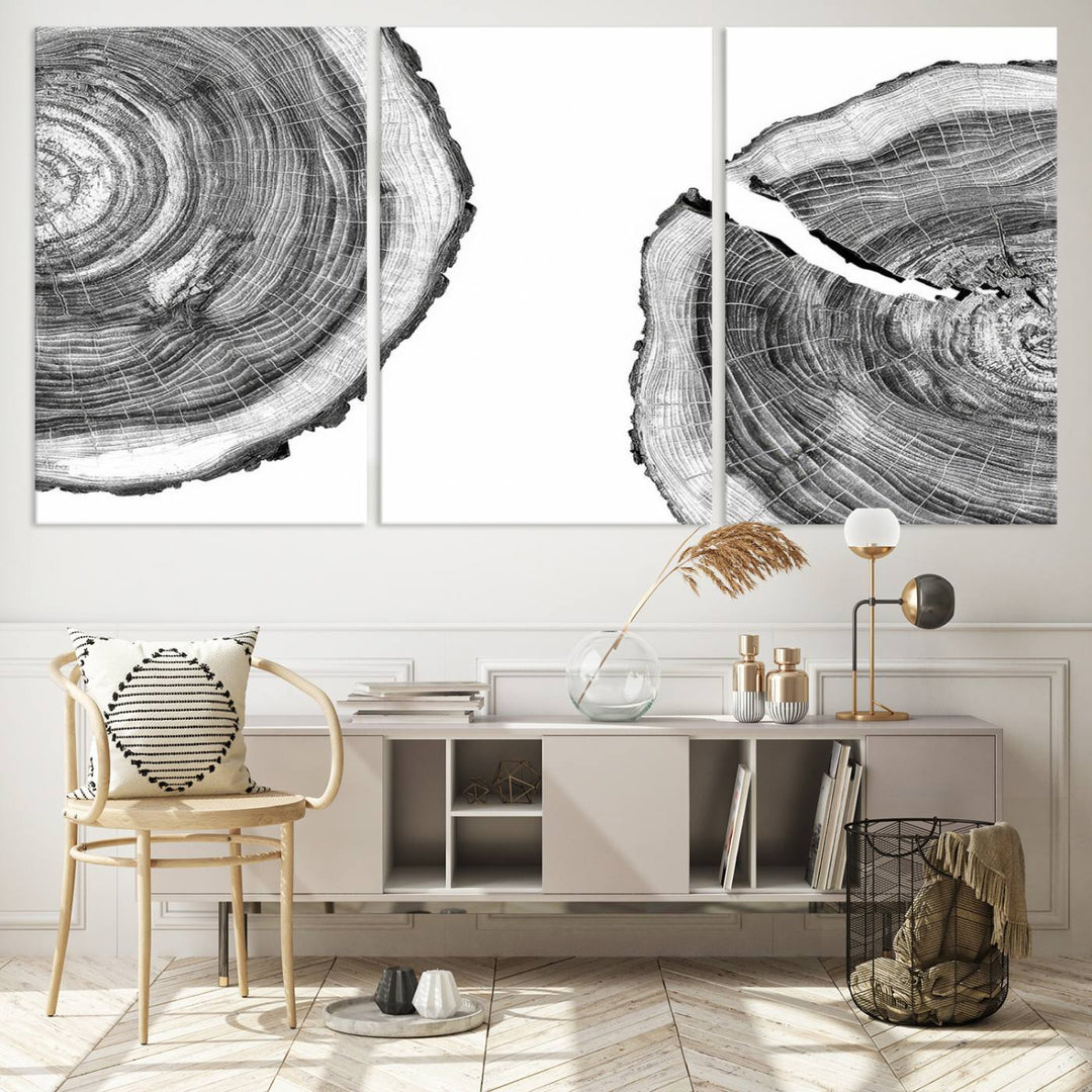 The minimalist art piece Abstract Large Tree Rings on canvas creates a striking focal point.