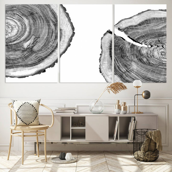 The minimalist art piece Abstract Large Tree Rings on canvas creates a striking focal point.