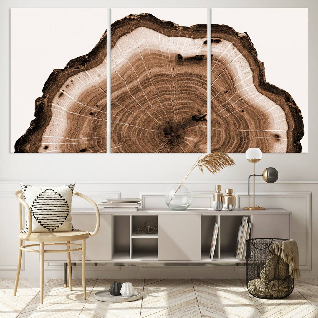 Rustic Wood Rings Wall Art | Nature-Inspired Tree Ring Canvas Print | Ready to Hang and Framed for Farmhouse Wall Decor