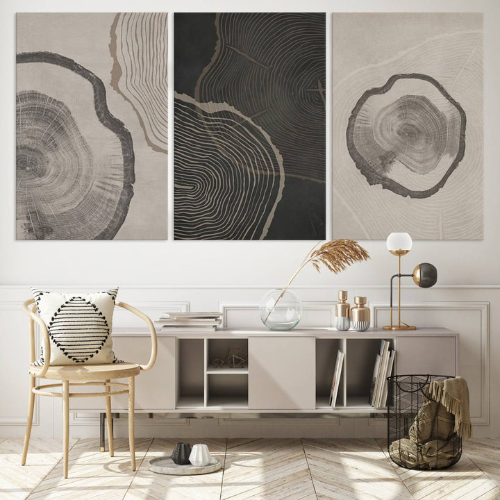 Framed Canvas Wall Art Set Wood Tree Rings Age Abstract Illustrations Prints Modern Art Minimalist Neutral Boho Decor