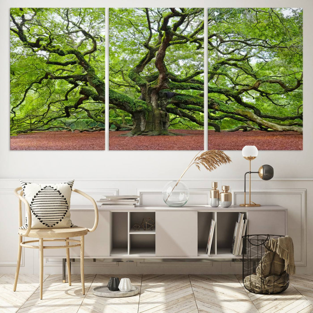 Framed Angel Oak Tree Wall Art - 3-Panel Canvas Prints, Large Green Nature Artwork, Ready to Hang Home Decor for Living Room, Office, Bedroom