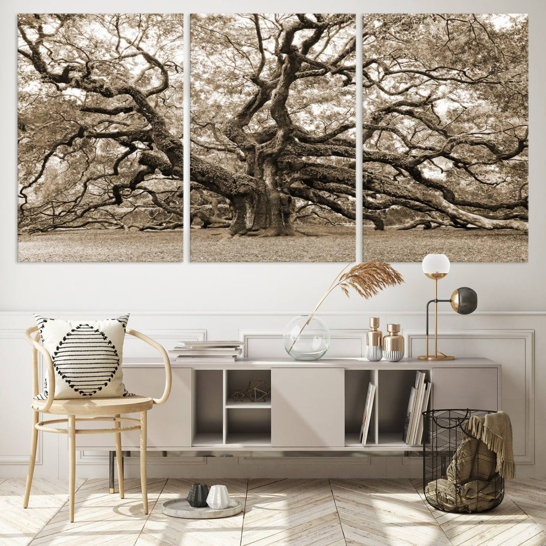 Sepia Framed Angel Oak Tree Wall Art - 3-Panel Canvas Prints, Large Green Nature Artwork, Ready to Hang Home Decor for Living Room, Office, Bedroom