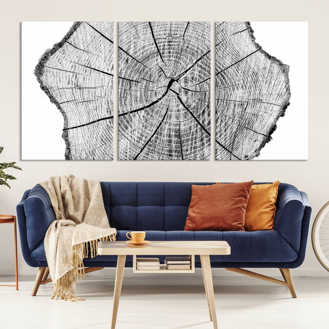 Black and white tree ring art print.