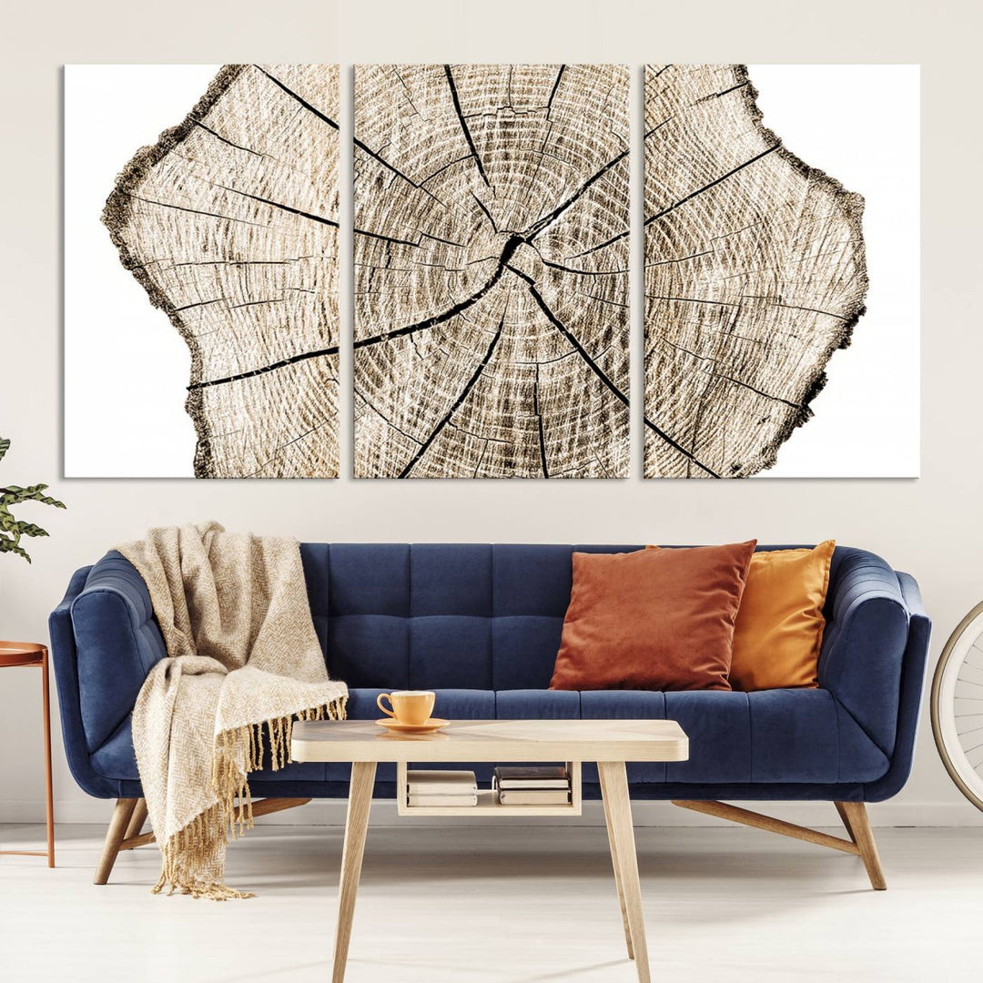 The Abstract Wood Tree Ring Wall Art set of 3 adds a minimalist touch to the space.