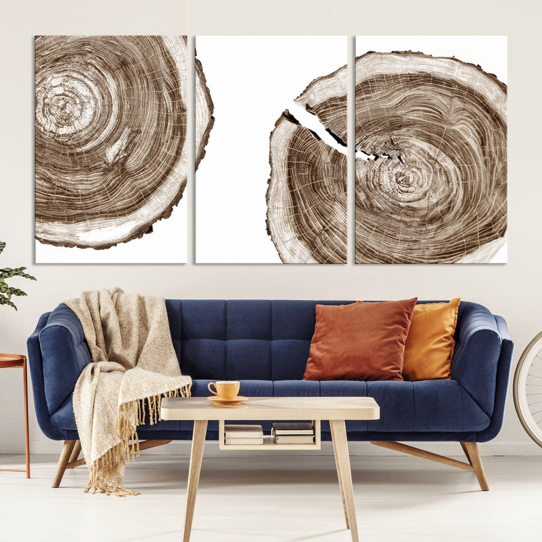 Wood Tree Ring Wall Art on a minimalist black and white canvas.