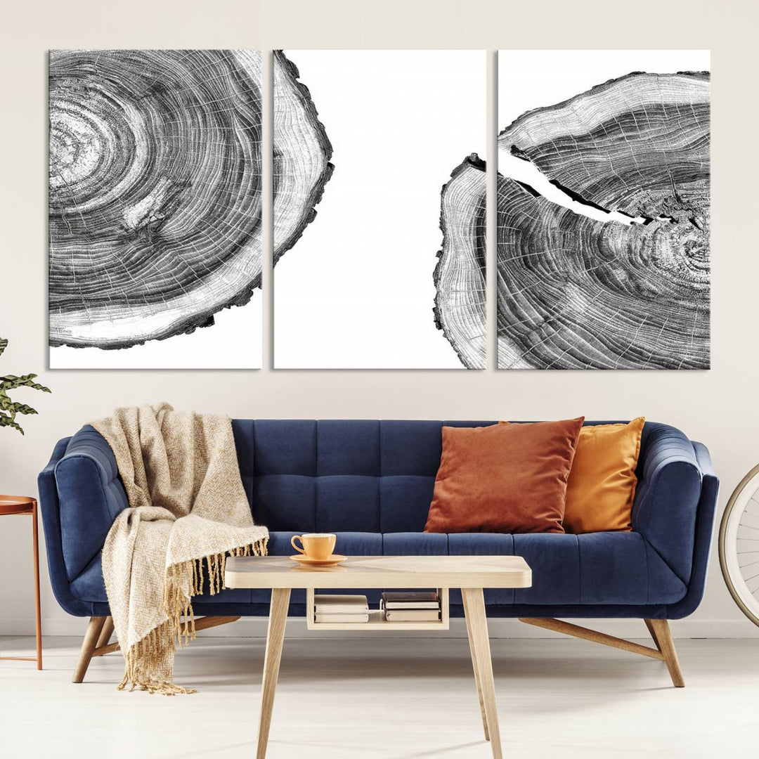 The minimalist art piece Abstract Large Tree Rings on canvas creates a striking focal point.