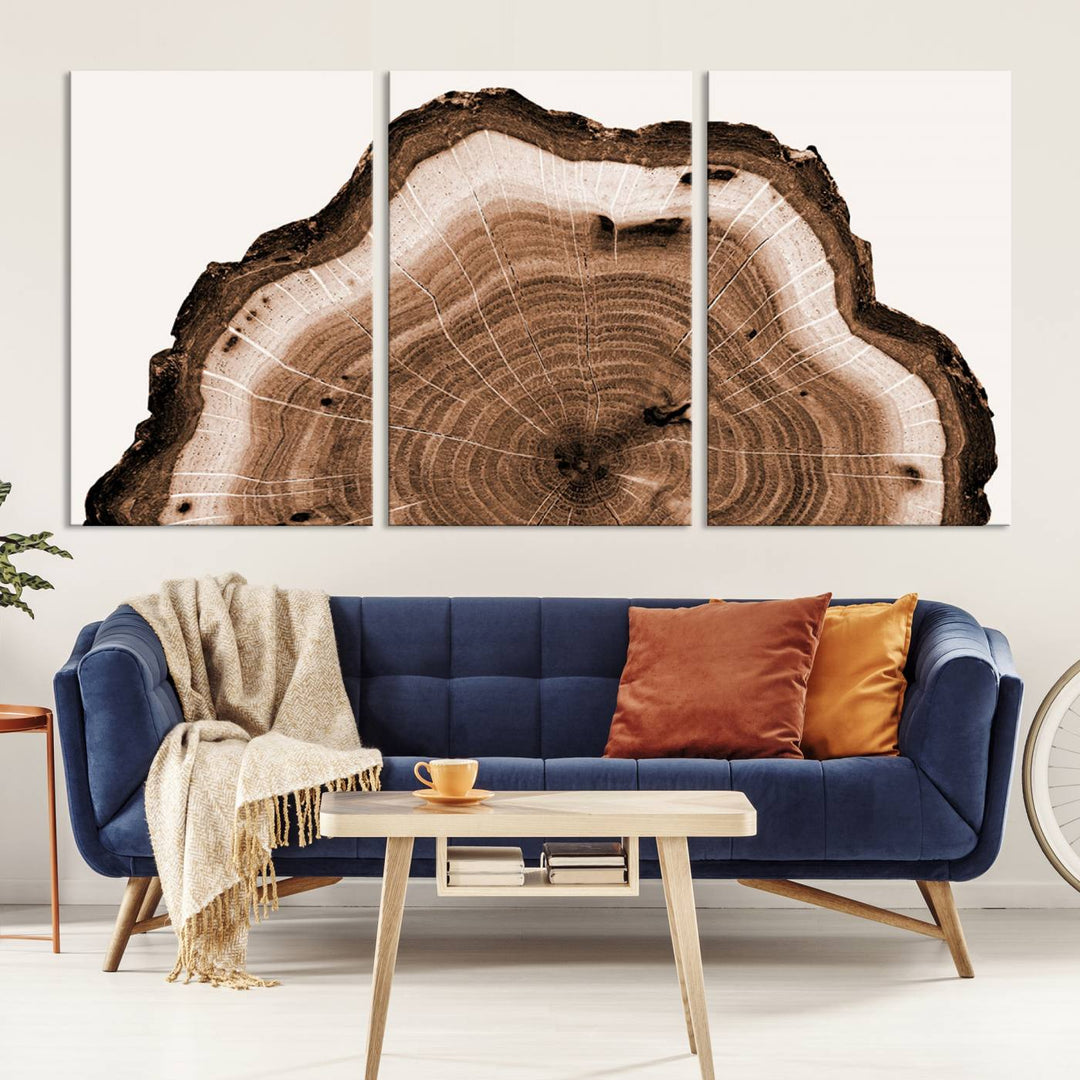 Rustic Wood Rings Wall Art | Nature-Inspired Tree Ring Canvas Print | Ready to Hang and Framed for Farmhouse Wall Decor