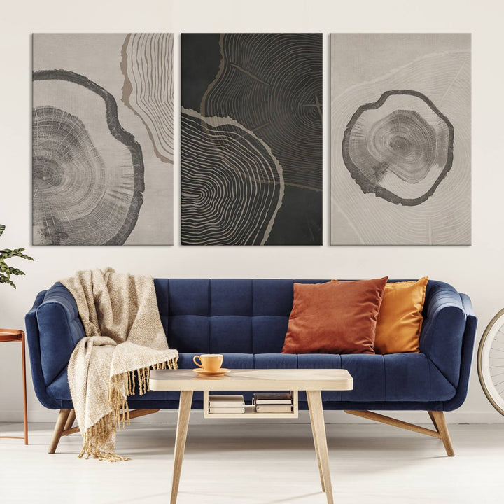 Framed Canvas Wall Art Set Wood Tree Rings Age Abstract Illustrations Prints Modern Art Minimalist Neutral Boho Decor