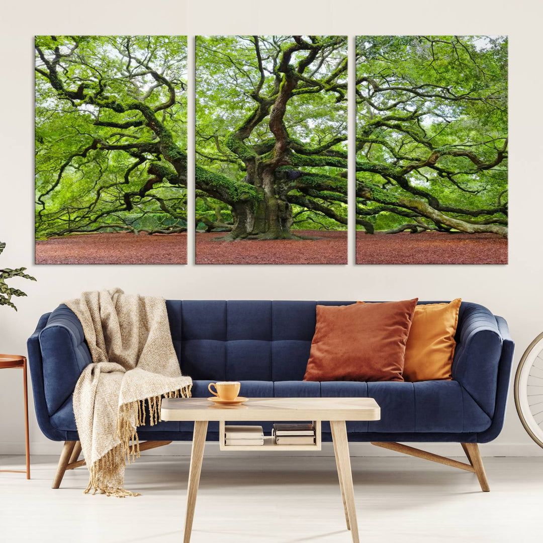 Framed Angel Oak Tree Wall Art - 3-Panel Canvas Prints, Large Green Nature Artwork, Ready to Hang Home Decor for Living Room, Office, Bedroom