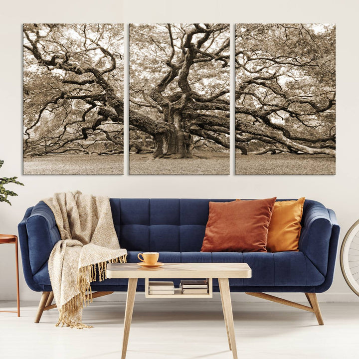 Displayed on the wall is a Sepia-framed Angel Oak Tree 3-panel canvas.