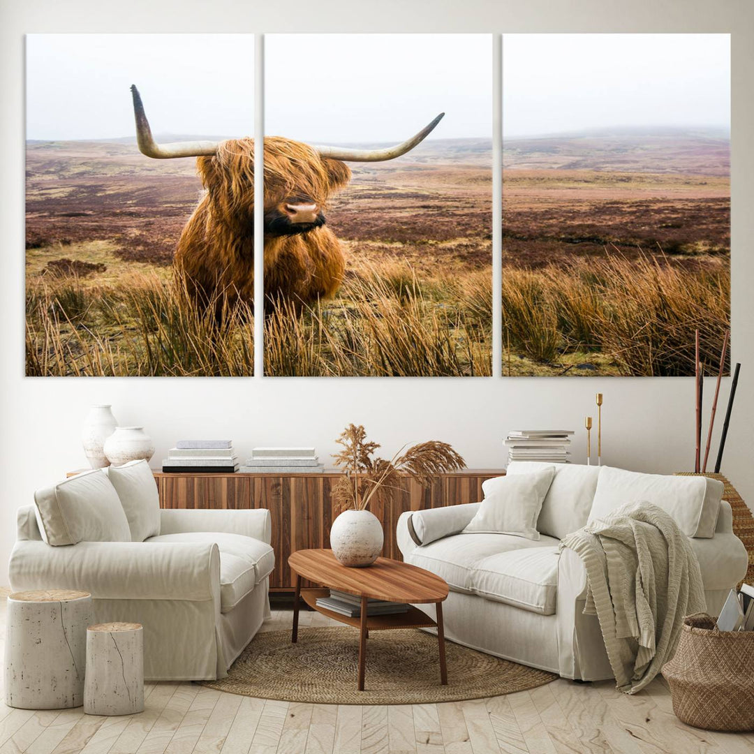 A ready-to-hang Scottish Highland Cow Cattle Canvas Wall Art.