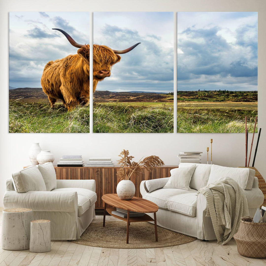 Highland Cattle Canvas Print: A minimalistic touch for any setting.