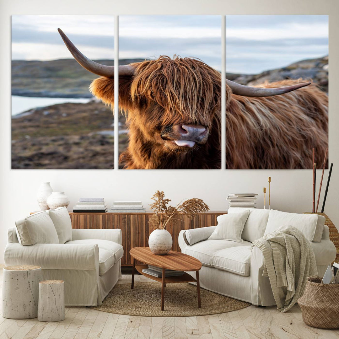 The Cuddly Highland Cow Canvas hangs, adding charm with its shaggy elegance.