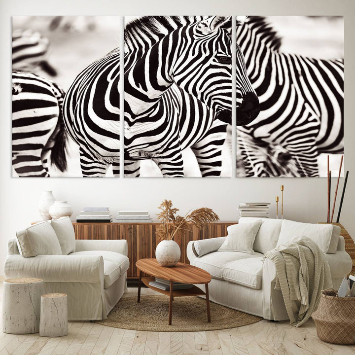 The Brilliant Zebra Photography Art Canvas Print hangs prominently on the wall.