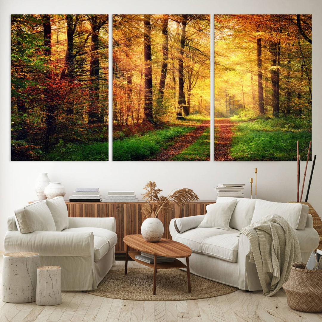 The Sunlight Through Trees Wall Art Canvas Print showcases a sunlit autumn forest and includes UV protection to ensure lasting vibrance.