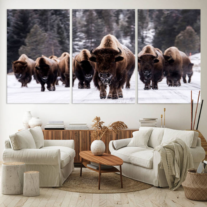 Bison Herd Canvas Wall Art.