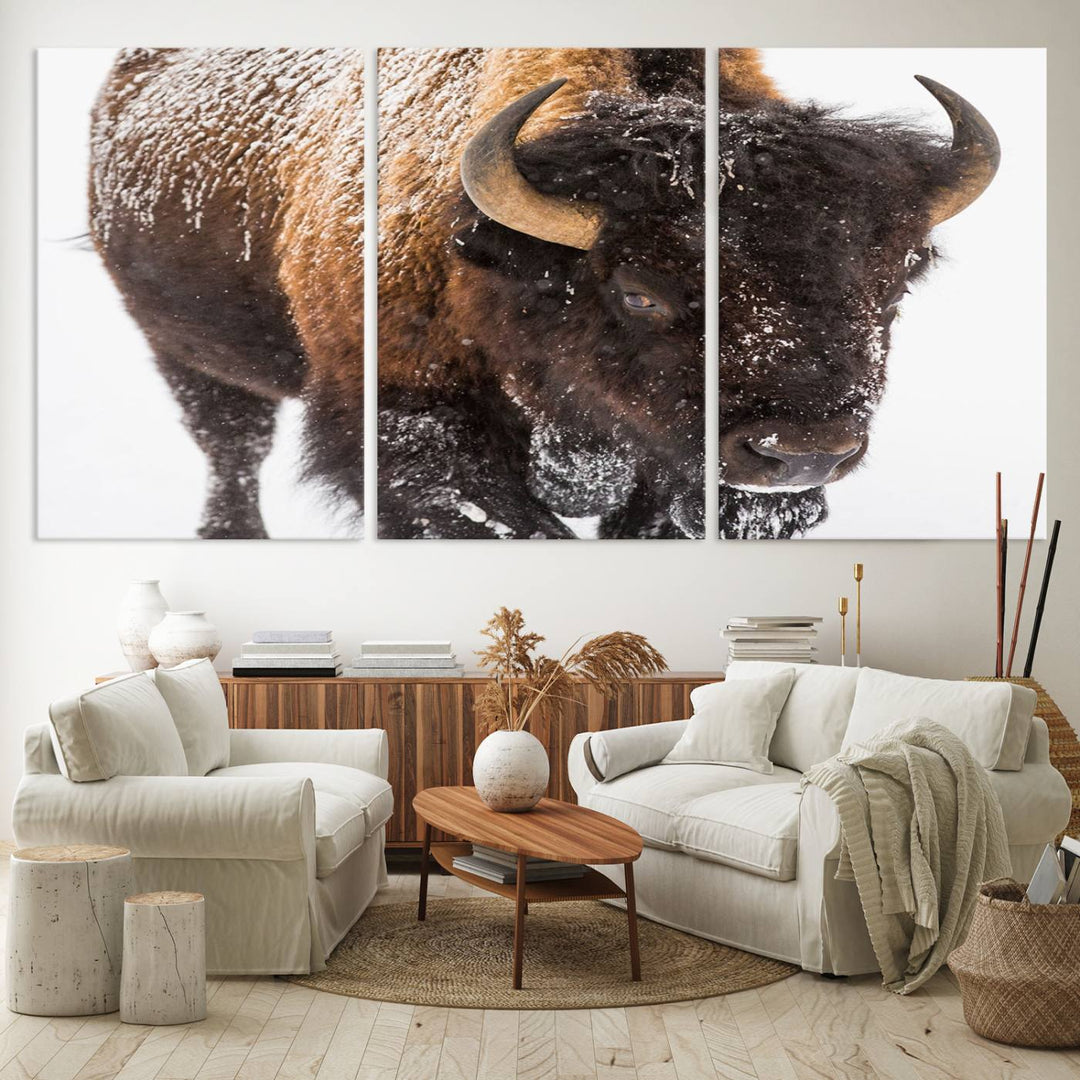 Bison Wall Art Canvas.