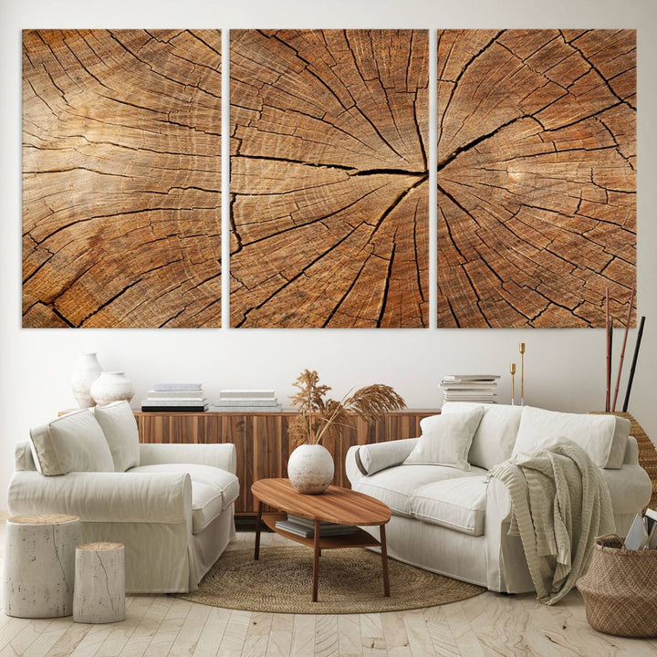 Tree Ring Canvas Art decorates a textured wall.