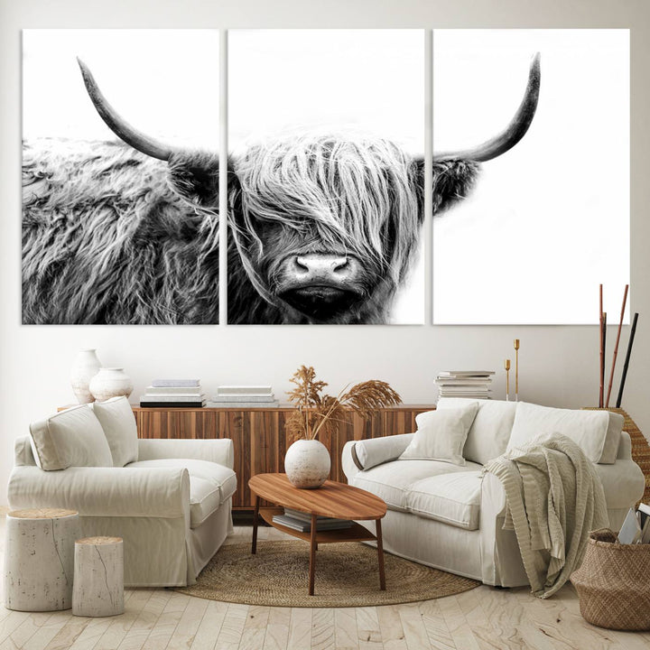 Framed Black and White Scottish Highland Cow Art Print.