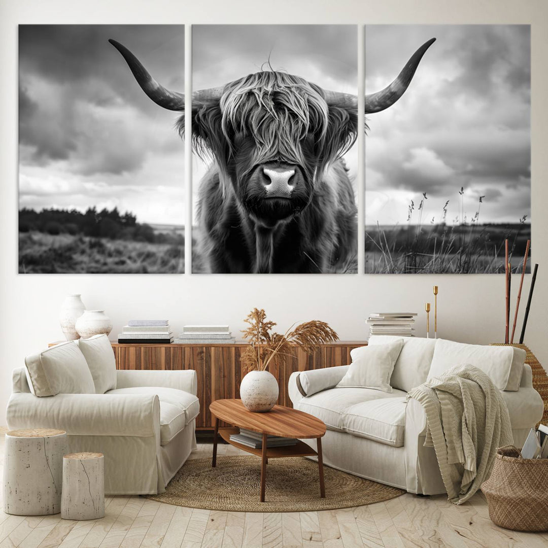 A large Scottish Cow Wall Art Canvas Print hangs on the wall.