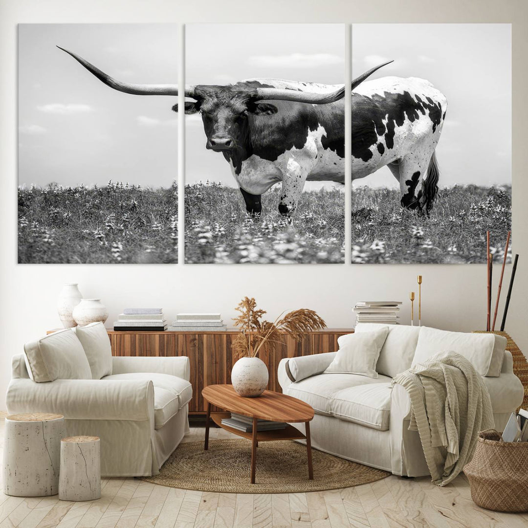 Texas Black White Highland Longhorn Cow Wall Art Canvas displayed on the wall.