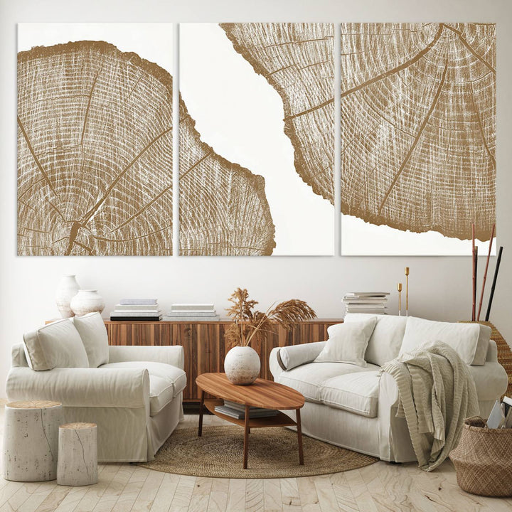 The rustic wall art features two large tree rings, beautifully framed and displayed to create a nature-inspired décor.