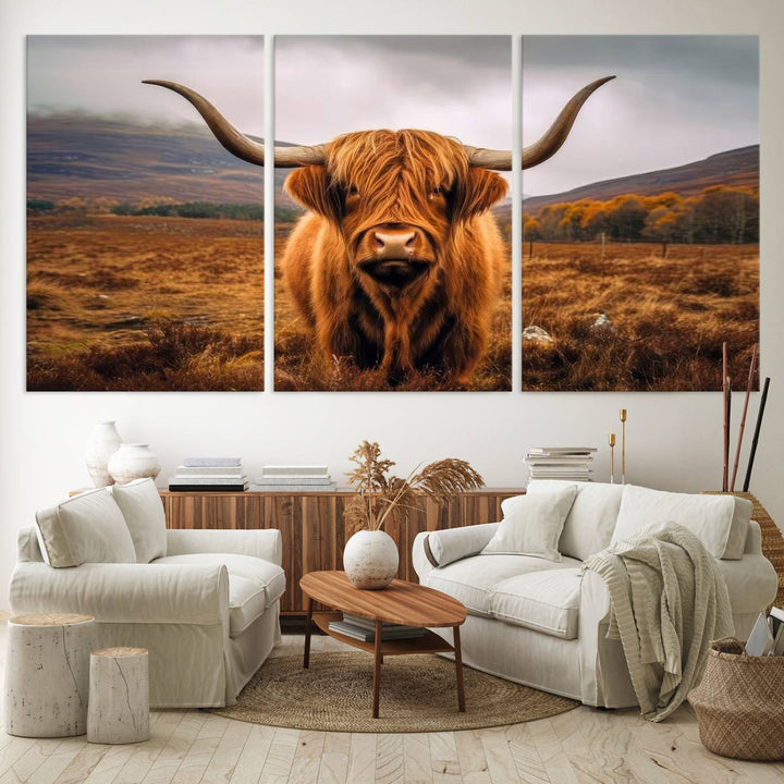 Highland Cow Longhorn Canvas Print, framed, on a wooden wall.