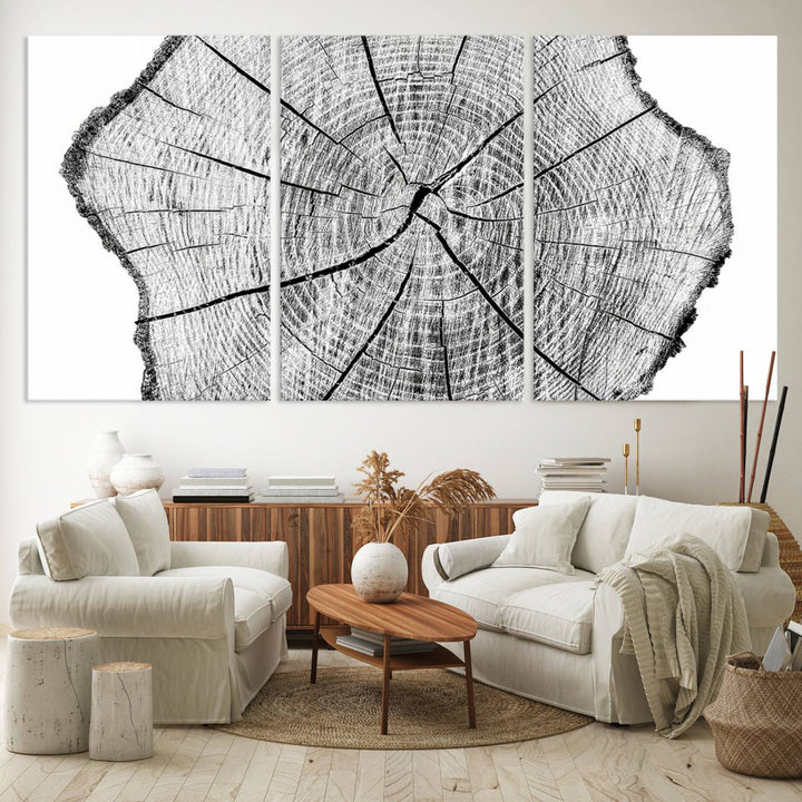 Black and white tree ring art print.