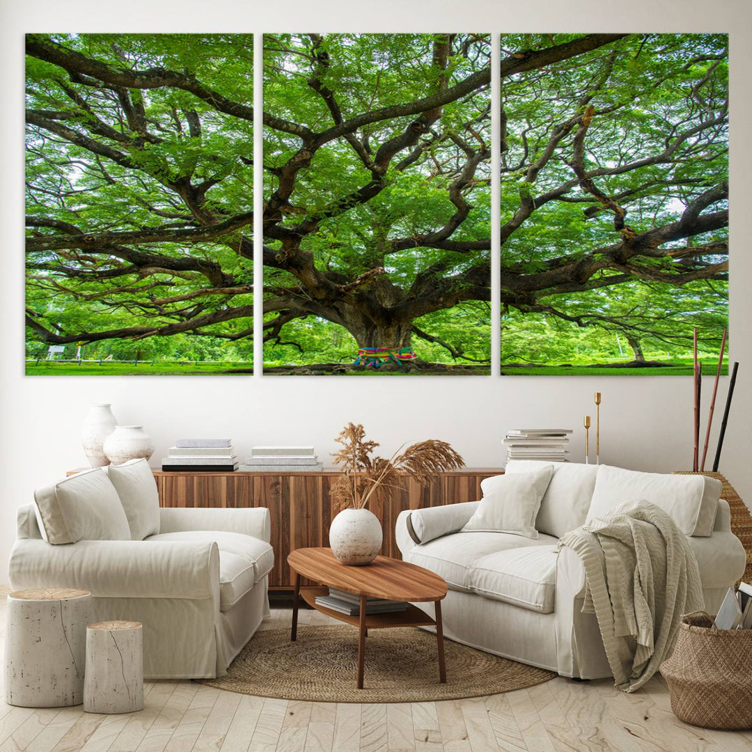 Framed Angel Oak Tree print featuring sprawling branches and ribbons against a clear sky backdrop, ideal for home or office decor.