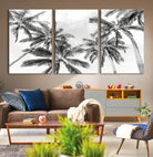 Edit-Images-Black and White Palm Tree Wall Art – Monochrome Tropical Canvas Print for Coastal or Minimalist Living Room Decor