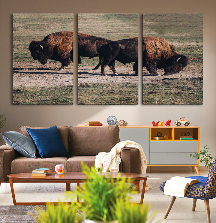 Bison Photography Wall Art Canvas Print, Framed Western Wildlife Art Picture Print, Modern Ranch Perfect Western Rustic Decor Artwork