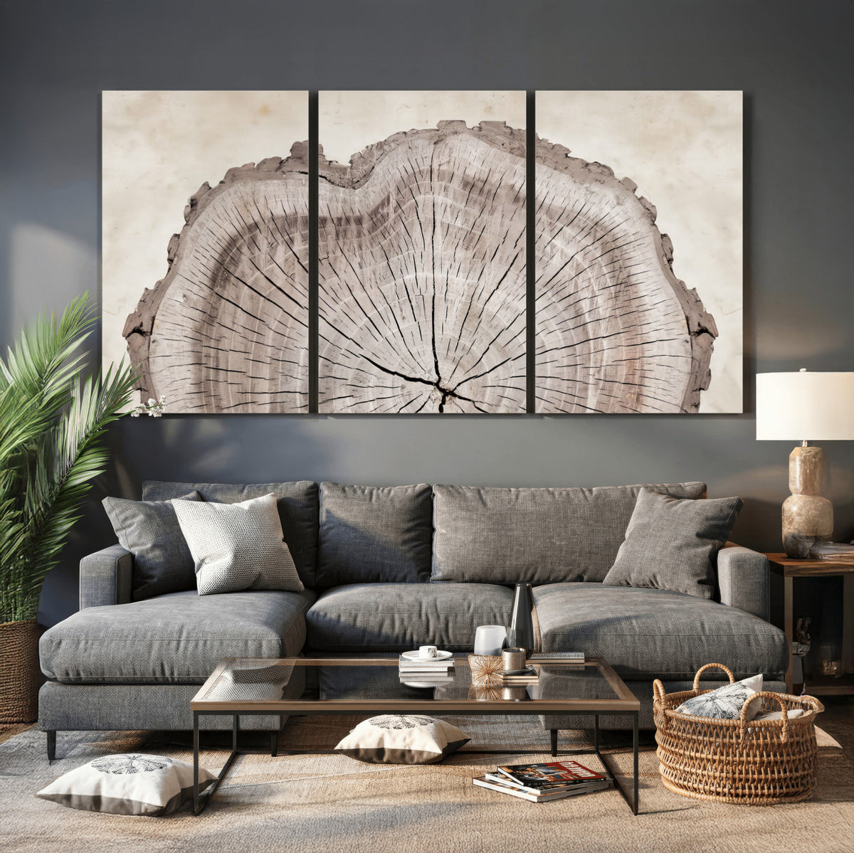 87833480-MGV-CV-60X30-3P - Tree Ring Canvas Wall Art in Neutral Earth Tones, Framed Wood Slice Print for Rustic and Japandi Interiors