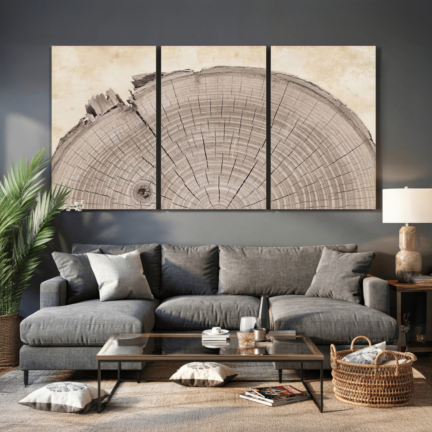 64174838-MGV-CV-60X30-3P - Tree Ring Canvas Wall Art in Neutral Earth Tones, Framed Wood Slice Print for Rustic and Japandi Interiors