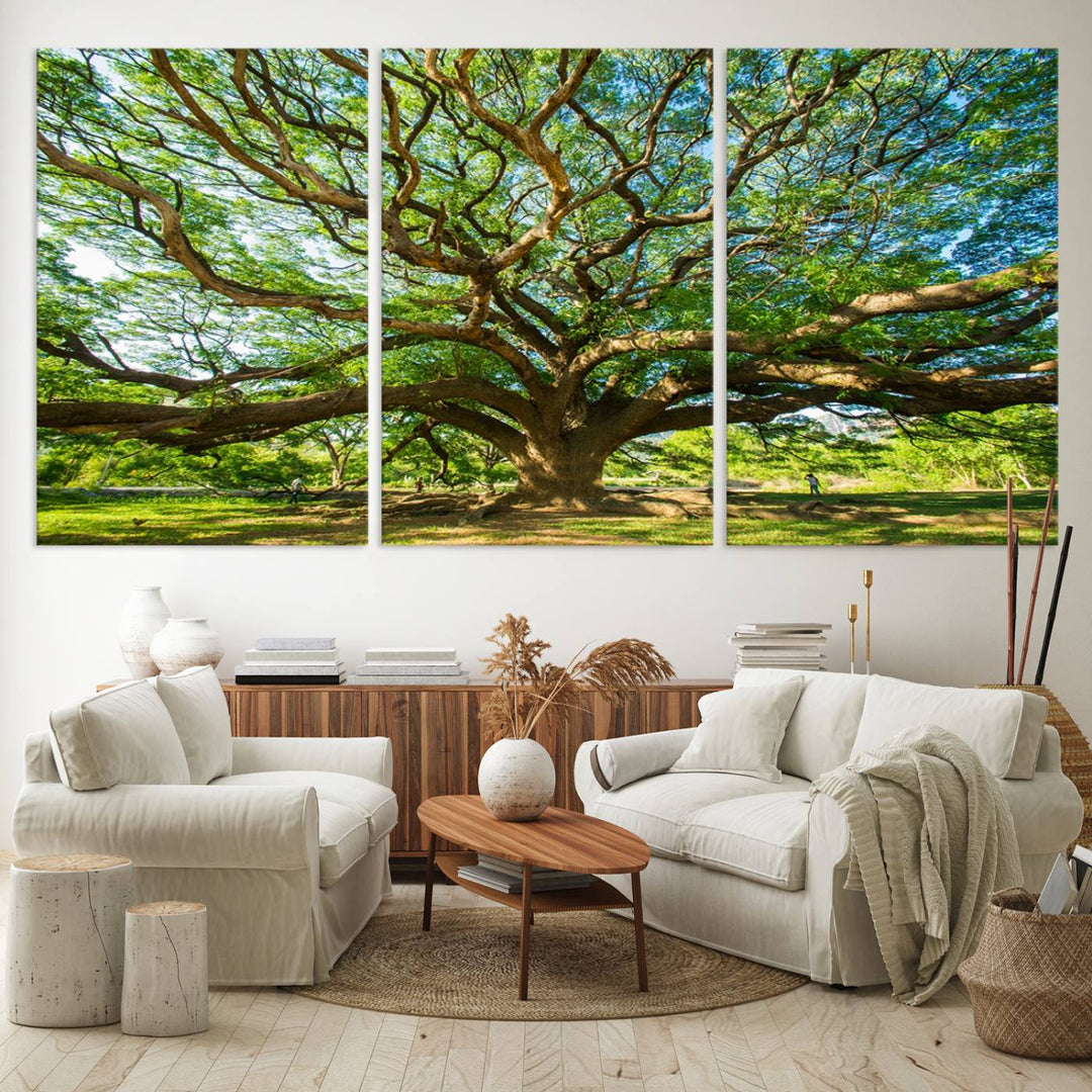 The Angel Oak Tree Wall Art is a stunning multi-panel landscape canvas print that serves as captivating wall art.