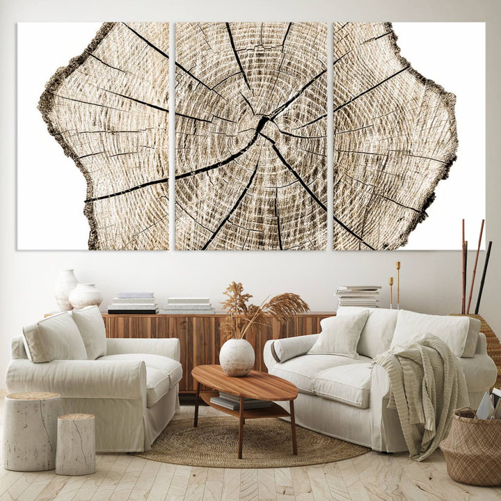 The Abstract Wood Tree Ring Wall Art set of 3 adds a minimalist touch to the space.