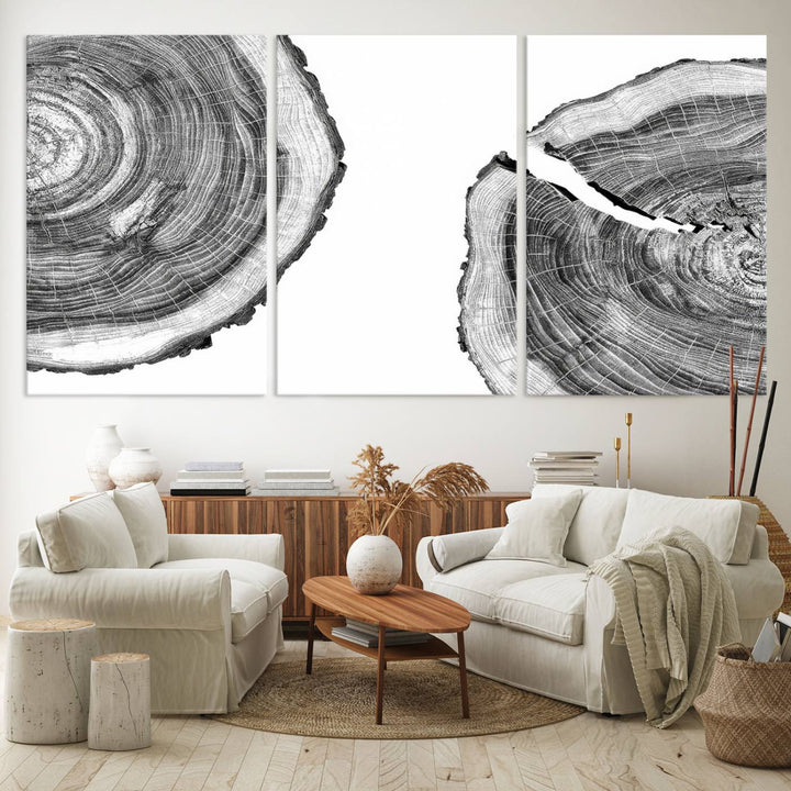 The minimalist art piece Abstract Large Tree Rings on canvas creates a striking focal point.