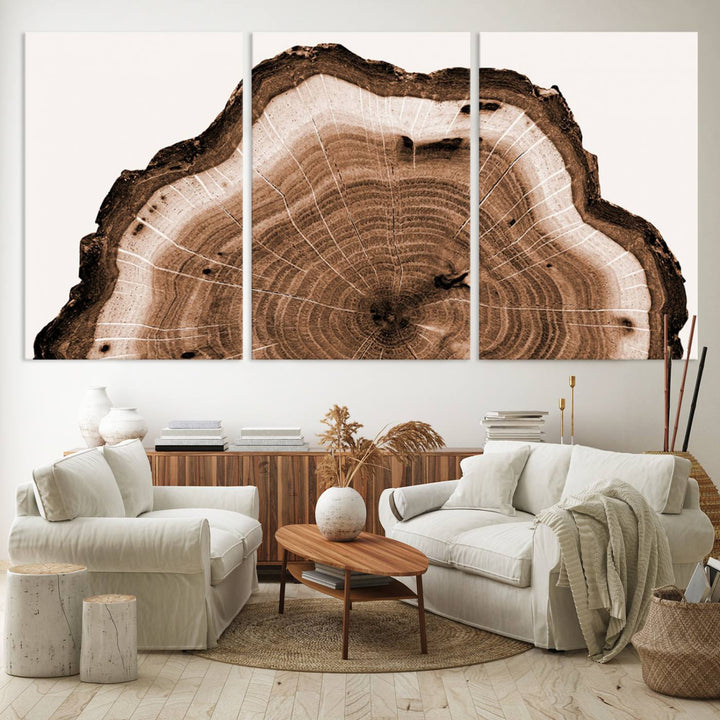 Rustic Wood Rings Wall Art | Nature-Inspired Tree Ring Canvas Print | Ready to Hang and Framed for Farmhouse Wall Decor