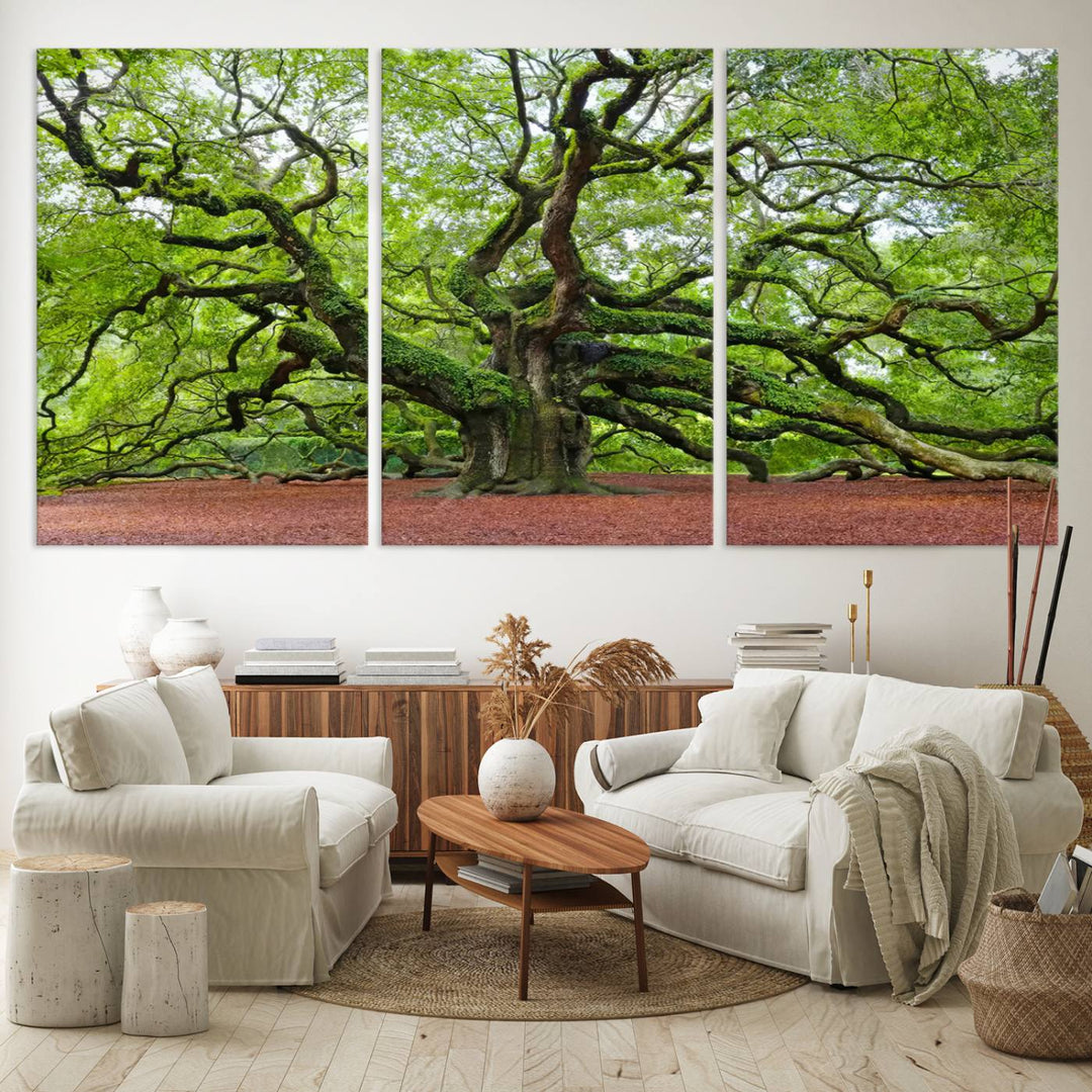 Framed Angel Oak Tree Wall Art - 3-Panel Canvas Prints, Large Green Nature Artwork, Ready to Hang Home Decor for Living Room, Office, Bedroom