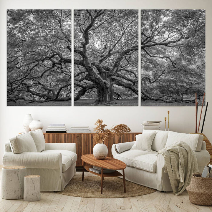 Majestic Angel Oak Tree Black and White Canvas Print – Multi Panel Wall Art, Giclée Print, Ready to Hang Nature Photography for Home Decor