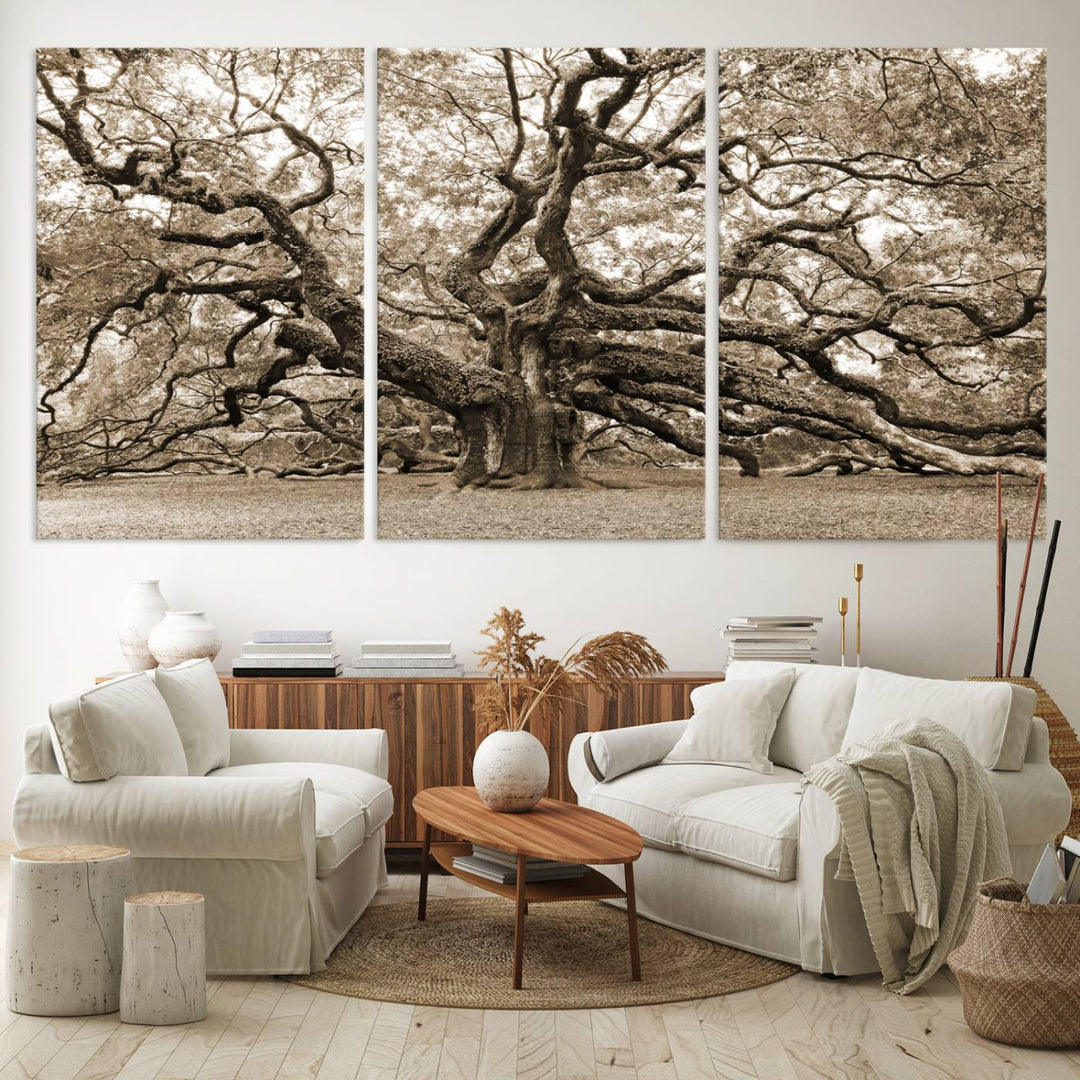 Displayed on the wall is a Sepia-framed Angel Oak Tree 3-panel canvas.