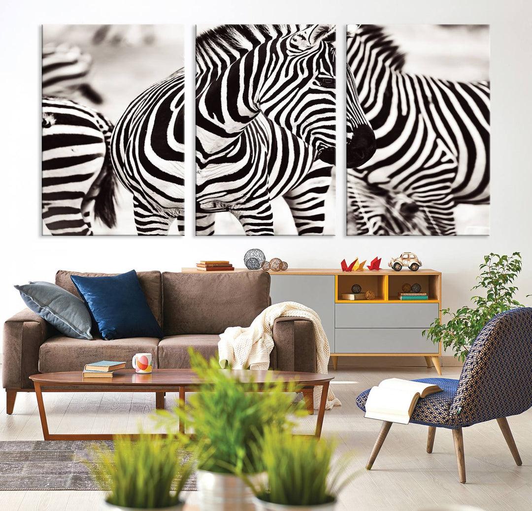 The Brilliant Zebra Photography Art Canvas Print hangs prominently on the wall.